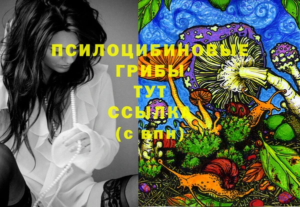 не бодяженный Аркадак