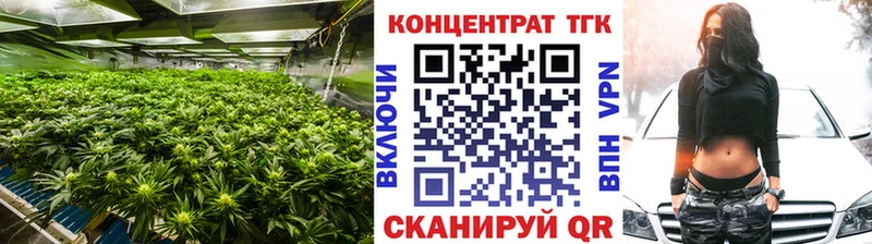 дарнет шоп  Кадников  Дистиллят ТГК THC oil 