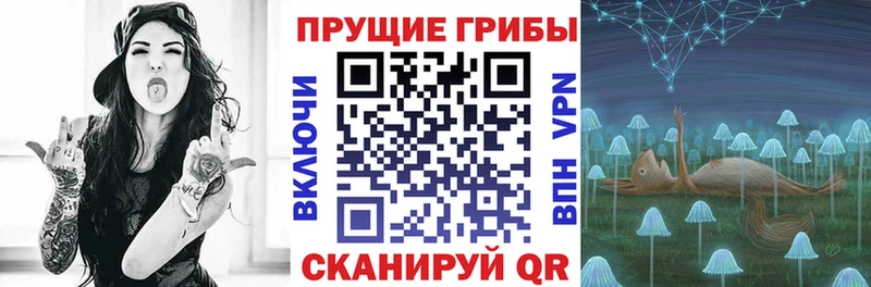 Псилоцибиновые грибы GOLDEN TEACHER  Кадников 